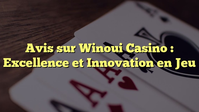 Avis sur Winoui Casino : Excellence et Innovation en Jeu